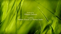 خیلی خیلی کوچک (2) (شمع های کریسمس)